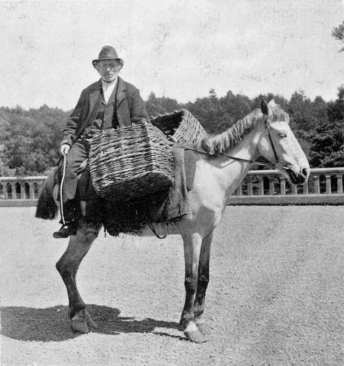 Irlantilainen mies hevosensa selässä (1800-luku). tekijältä Unknown photographer
