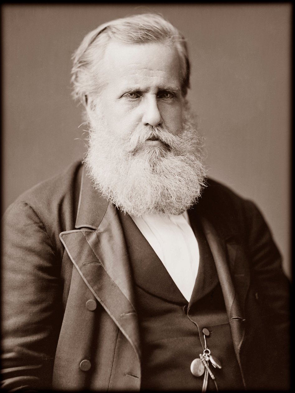 Muotokuva Dom Pedro II:sta (Pietari II) (Dom Pedro de Alcantara) (1825-1891), Brasilian keisarista tekijältä Unknown photographer