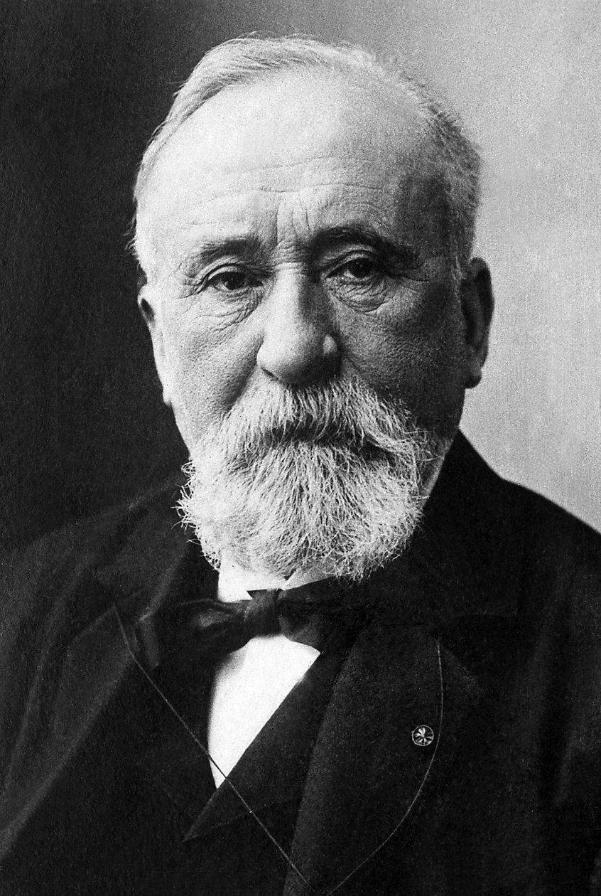 Pierre Puvis de Chavannesin (1824-1898), ranskalaisen symbolistin taidemaalarin muotokuva. tekijältä Unknown photographer