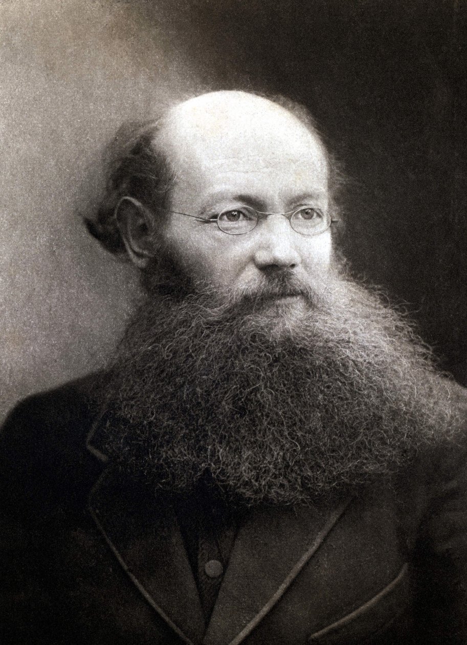 Prinssi Pietari (Pjotr) Aleksejevitš Kropotkin (1842-1921), Venäjän vallankumouksellisen ja anarkisin muotokuva. tekijältä Unknown photographer