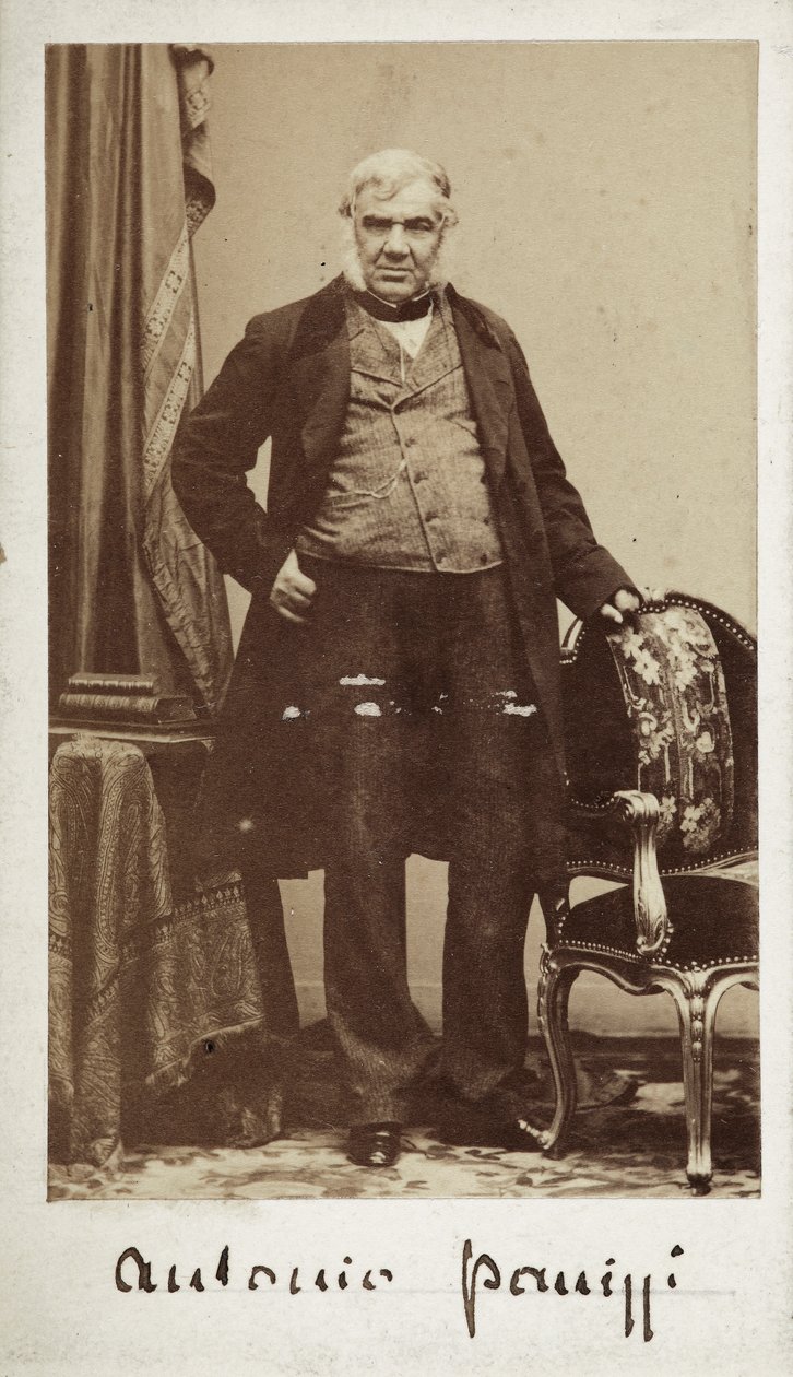 Muotokuva senaattori Antonio Panizzi (1797-1879), British Museumin kirjaston johtaja. tekijältä Unknown photographer