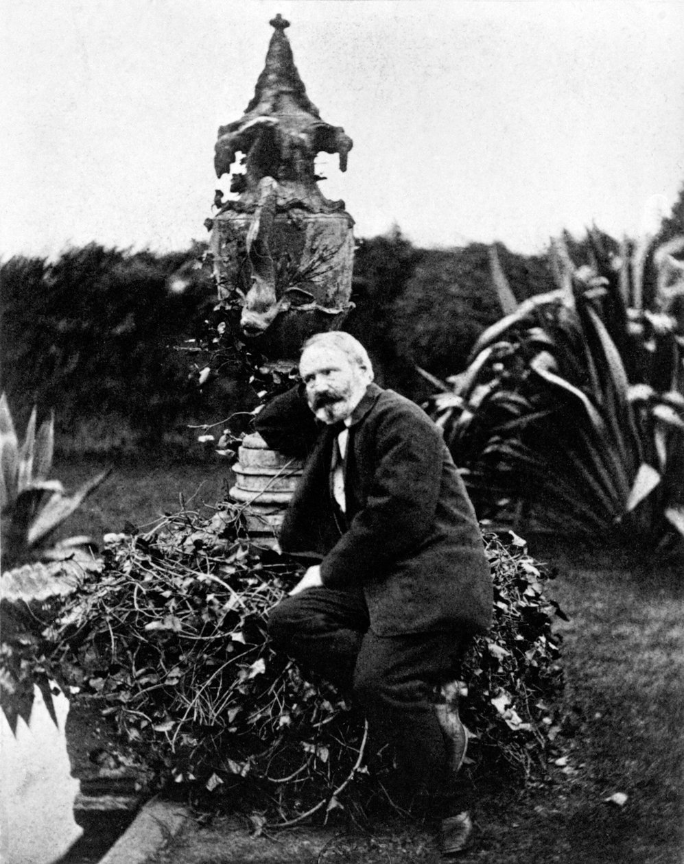 Victor Hugon muotokuva tekijältä Unknown photographer
