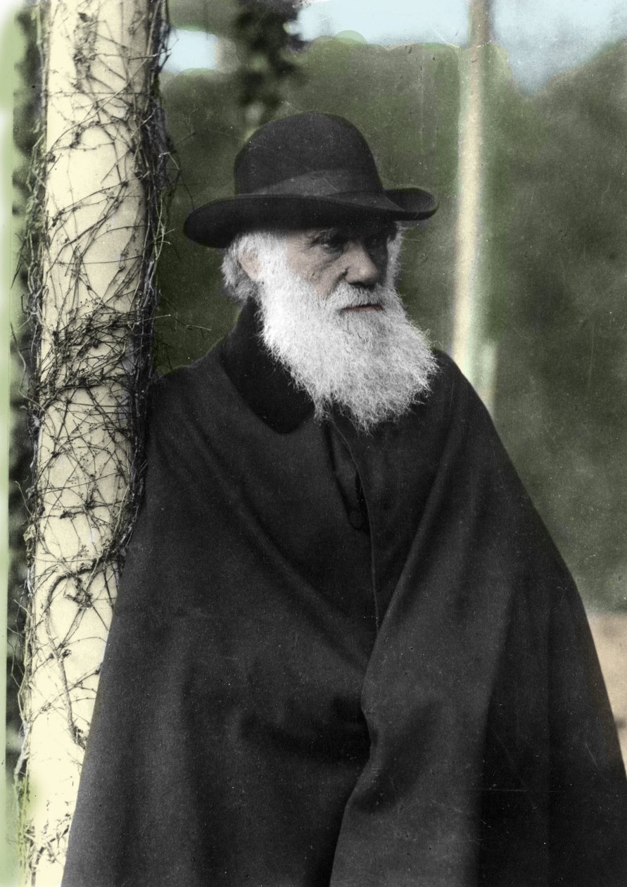 Valokuva muotokuva Charles Darwinista (1809 - 1882), englantilaisesta luonnontieteilijästä vuonna 1881. tekijältä Unknown photographer