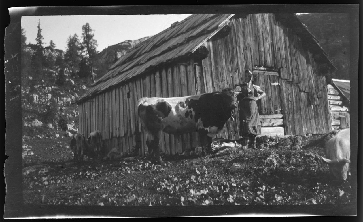 Vorderbachalm (vuoristolaidun) ja alppimökki lähellä Goesslia Grundl-järven rannalla. tekijältä Unknown photographer