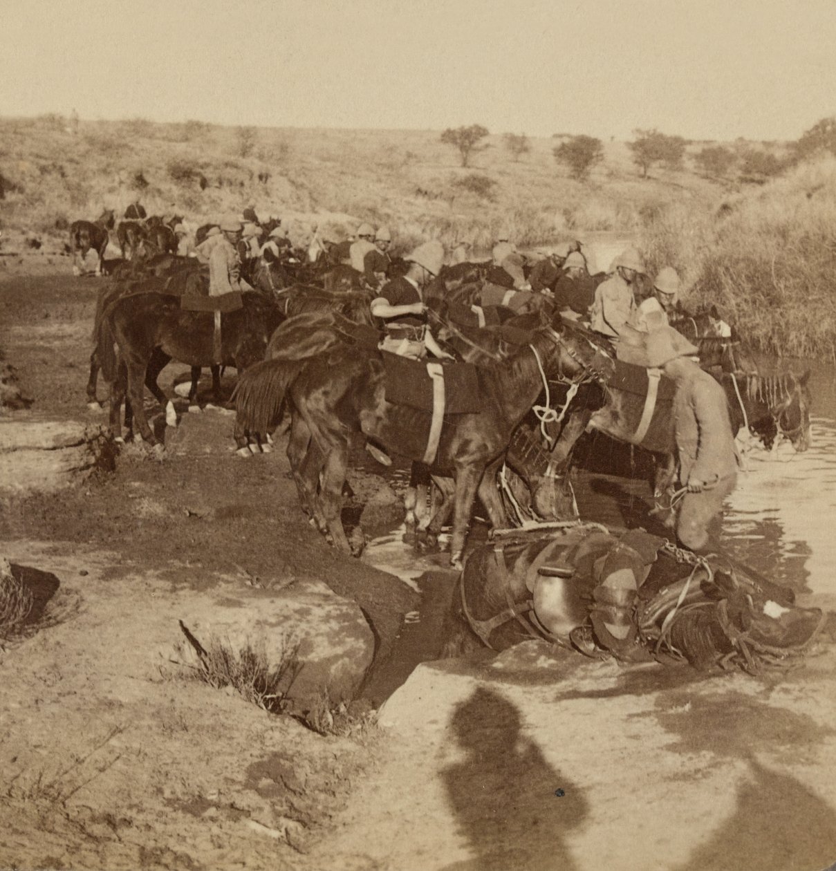 Tykistöhevosten kastelu, Welgelegen, Etelä-Afrikka tekijältä Unknown photographer