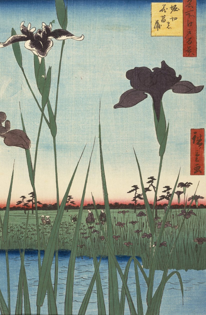 Horikirin iirispuutarha (Horikiri no hanashbu), sarjasta Sata kuuluisaa näkymää Edosta (Meish... tekijältä Utagawa Hiroshige