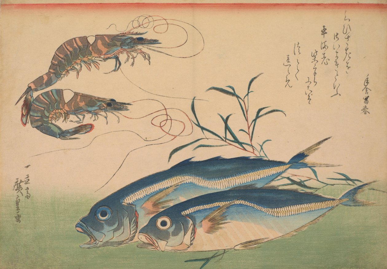Piikkimakrilli (Aji), katkarapu tai katkarapu, merkintä tekijältä Utagawa Hiroshige
