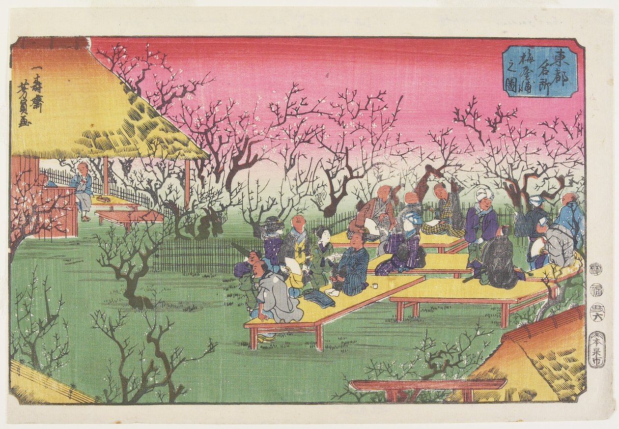 Näkymä luumupuutarhaan Umeyashikissa, kesäkuu 1853 tekijältä Utagawa Yoshikazu