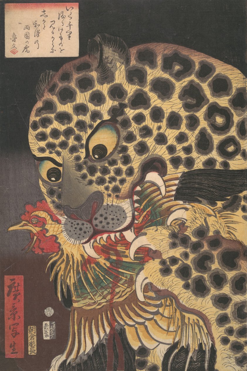 "Ryokokun tiikeri", Hirokagen True Scenes -sarjasta, 8. kuukausi, 1860., tekijältä Utagawa Hirokage