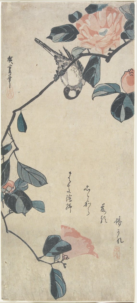 (Bird on Camellia), 1800-luvun alku tekijältä Utagawa Hiroshige