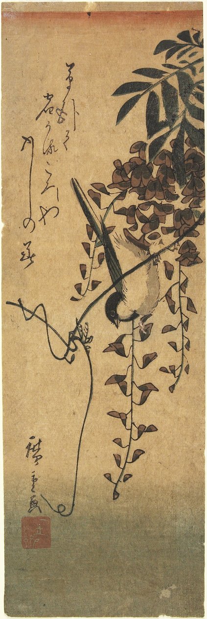 (Bird on Wisteria Branch) tekijältä Utagawa Hiroshige