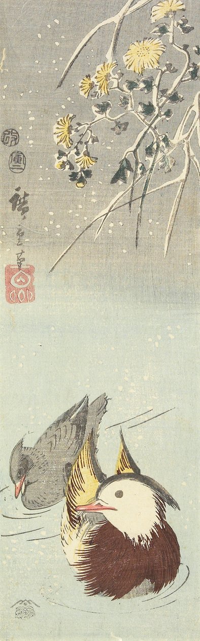 (Crysanthemum and Mandarin Ducks), helmikuu 1854 tekijältä Utagawa Hiroshige