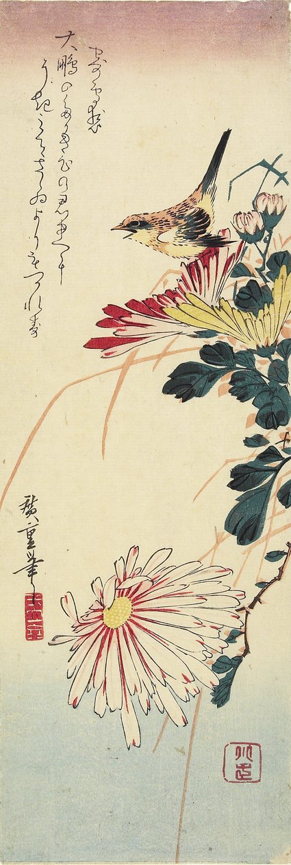 (Crysanthemums and a Shrike), 1830-1858 tekijältä Utagawa Hiroshige