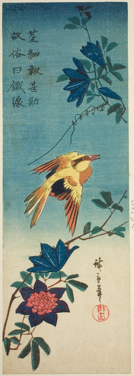 (Faksi?) Mustanaped oriole ja clematis tekijältä Utagawa Hiroshige