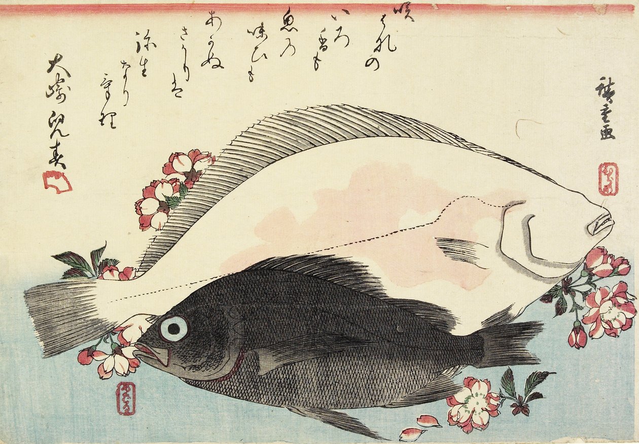 (Fluke ja mustabasso, kirsikankukat) tekijältä Utagawa Hiroshige