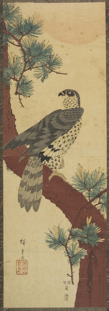 (Hawk on Pine Branch, Summer), syyskuu 1853 tekijältä Utagawa Hiroshige