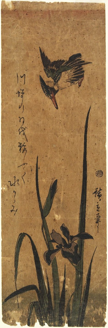 (Iris ja Kingfisher), 1830-1858 tekijältä Utagawa Hiroshige