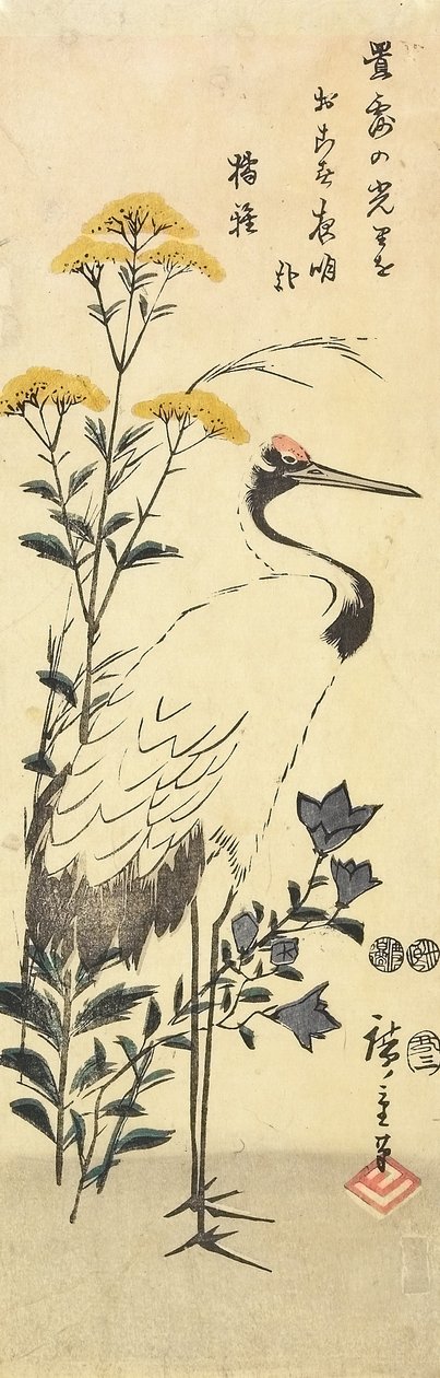 (Patrinia, kiinalainen kellokukka ja kurkku), maaliskuu 1853 tekijältä Utagawa Hiroshige