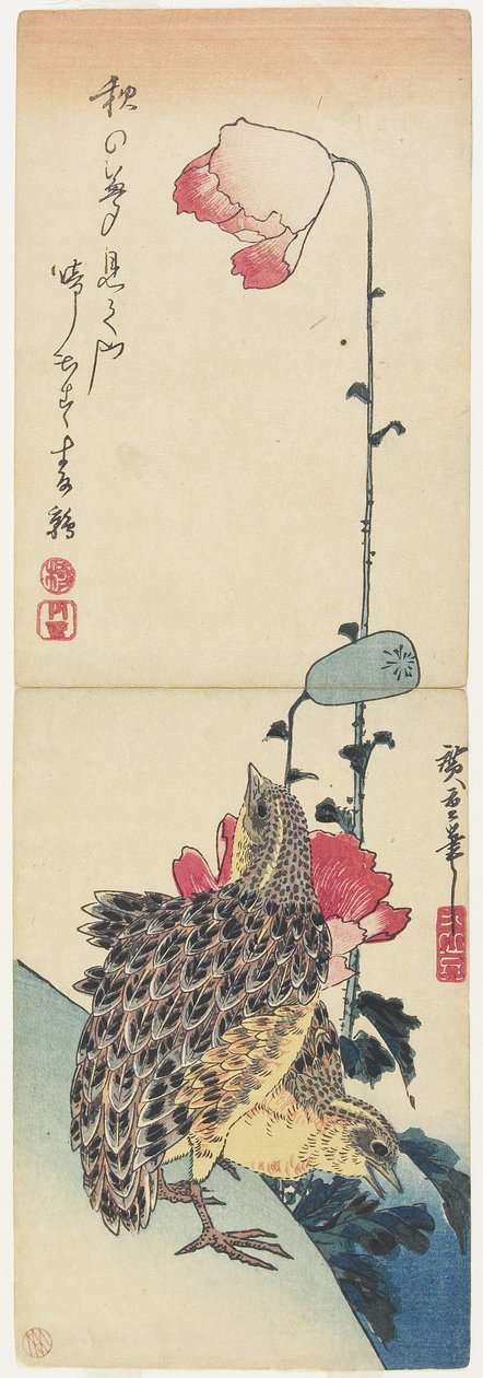 (Viiriläiset ja unikot), 1830-1858 tekijältä Utagawa Hiroshige