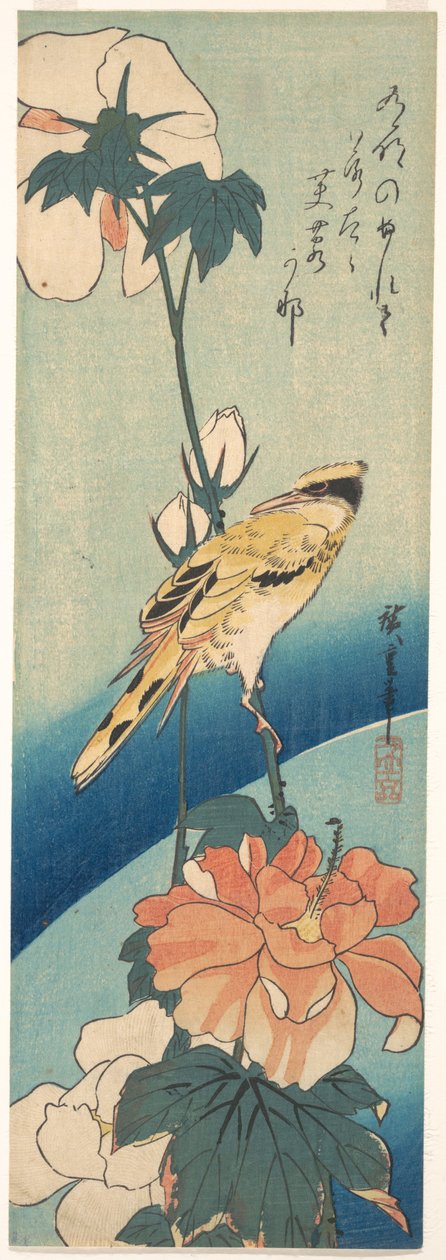 Ein Schwarzrückenpirol auf einem Hibiskusstängel tekijältä Utagawa Hiroshige