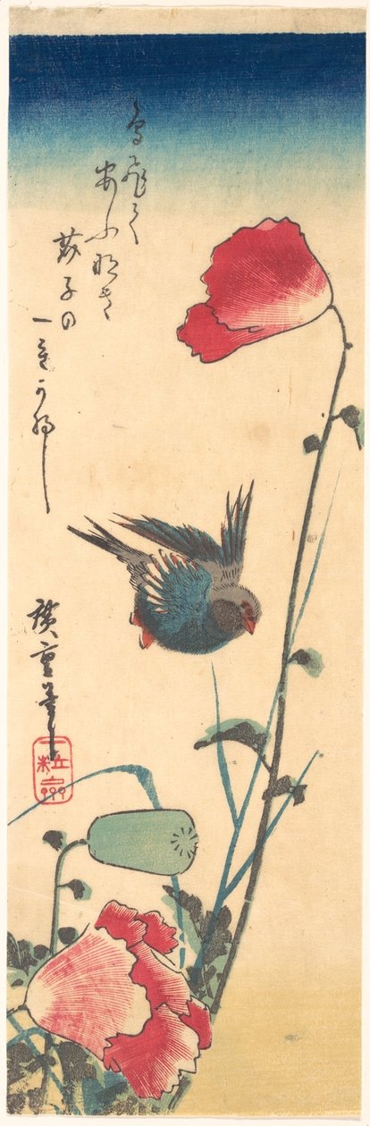 Ein Blaukehlchen und Mohnblumen tekijältä Utagawa Hiroshige