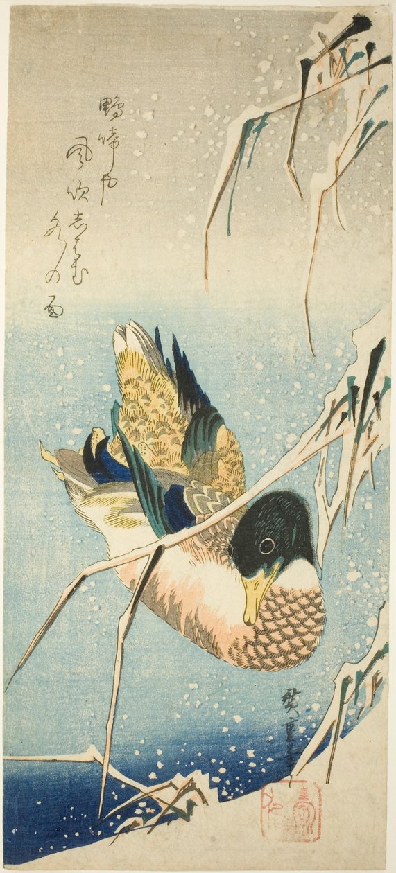 Villiankka uimassa lumen peittämässä rannalla lumipeitteisen kaislikon alla tekijältä Utagawa Hiroshige