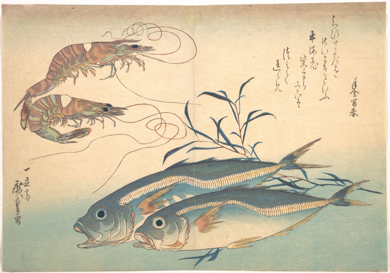 Aji-kala ja kuruma-ebi, sarjasta Uozukushi tekijältä Utagawa Hiroshige