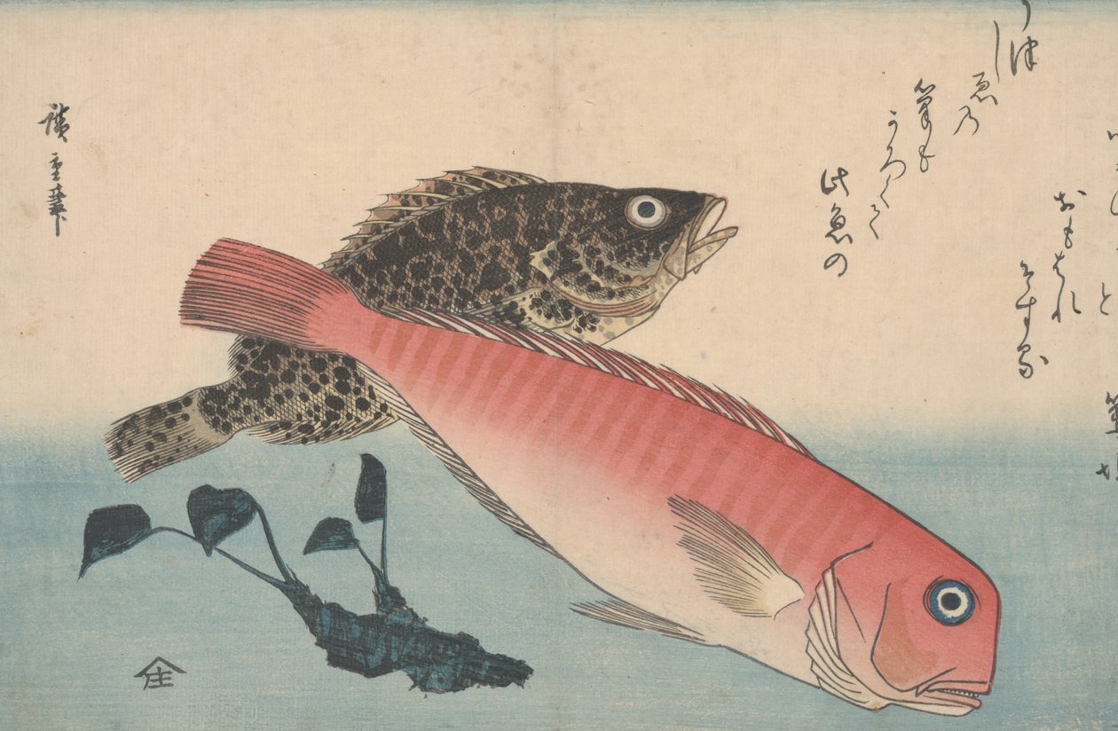 Amadai, Mebaru ja Wasabi Root tekijältä Utagawa Hiroshige