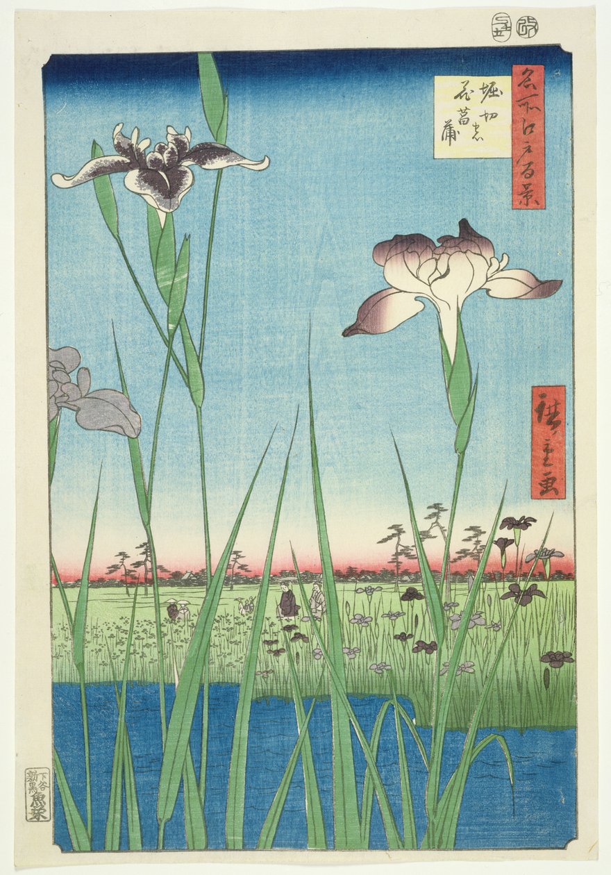 BM.Cat.440 Irises at Horikin, nro 56 sarjassa "100 Views of Edo", ("Meisho Edo hyakkei"), pub. 1857, (värillinen puupiirros) tekijältä Utagawa Hiroshige