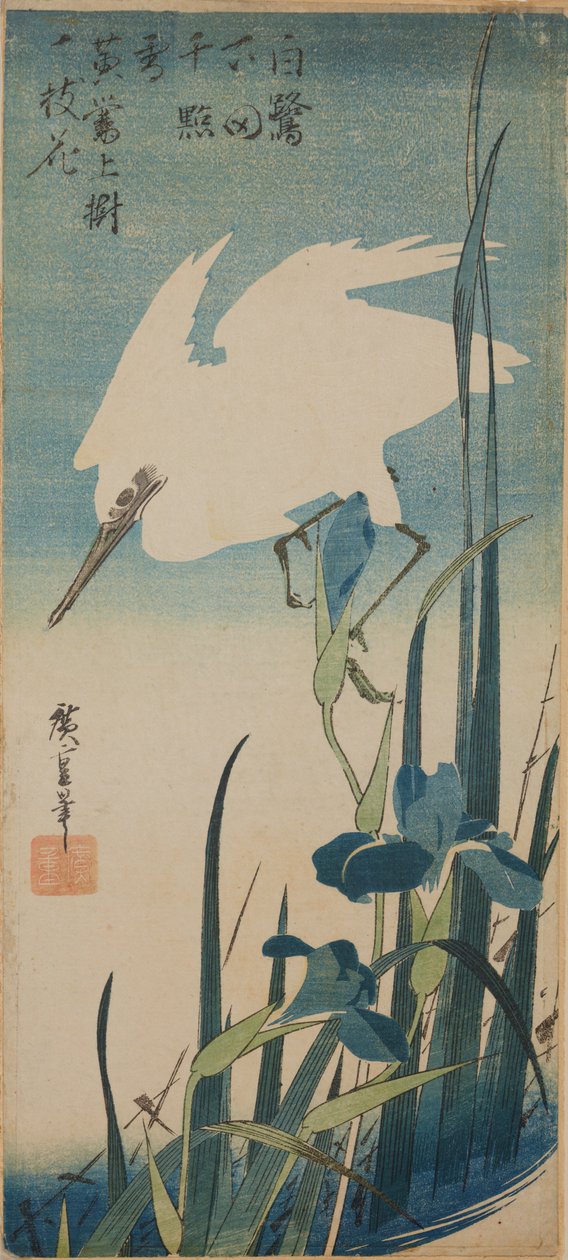 Valkoinen lentävä haikara ja siniset iirikset / Shobu to shirasagi tekijältä Utagawa Hiroshige