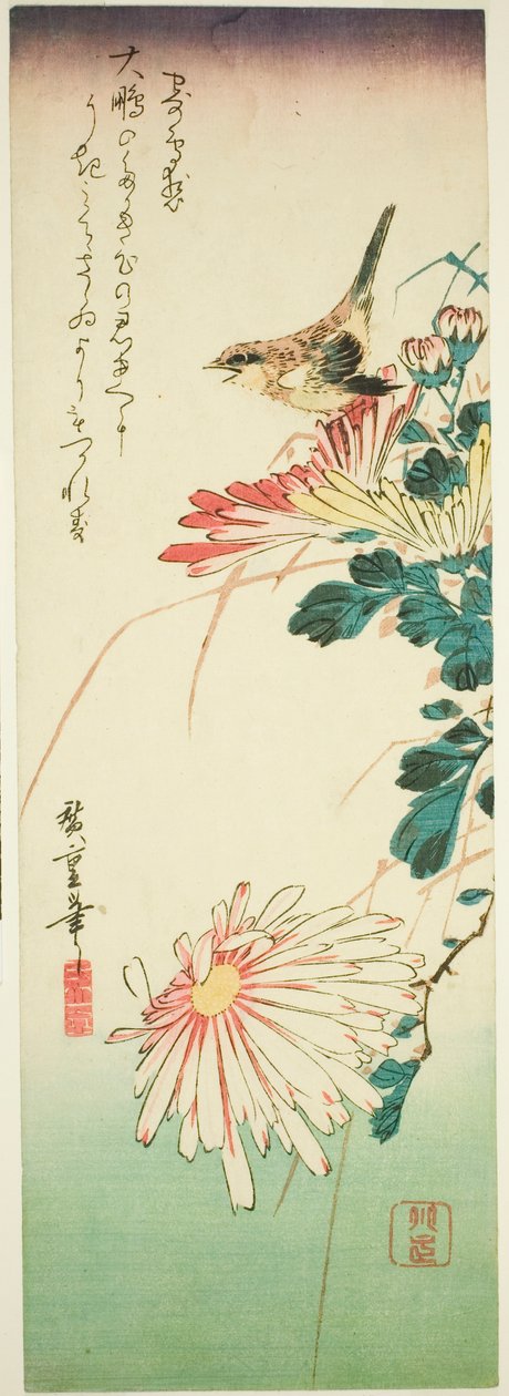 Lintu ja krysanteemit tekijältä Utagawa Hiroshige