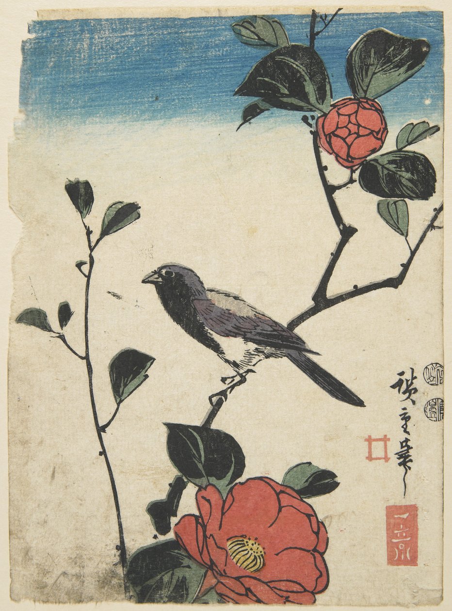 Lintu Kirsikanhaarassa, 1847-1852 tekijältä Utagawa Hiroshige