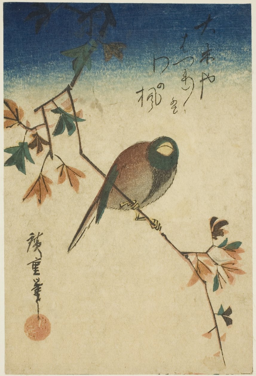 Lintu vaahteran oksalla tekijältä Utagawa Hiroshige