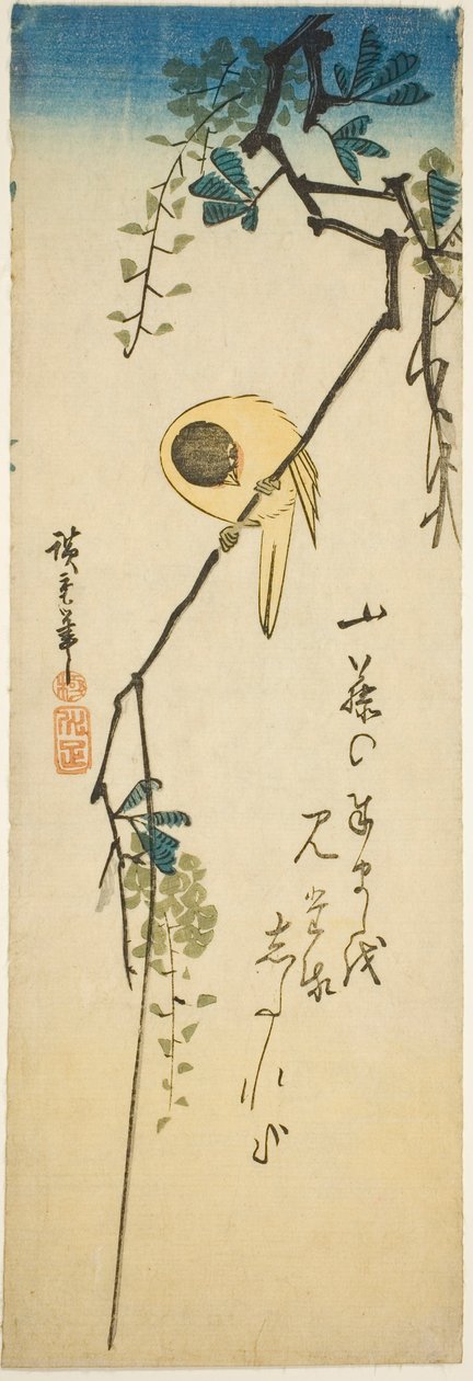 Lintu silkkisellä wisterialla tekijältä Utagawa Hiroshige