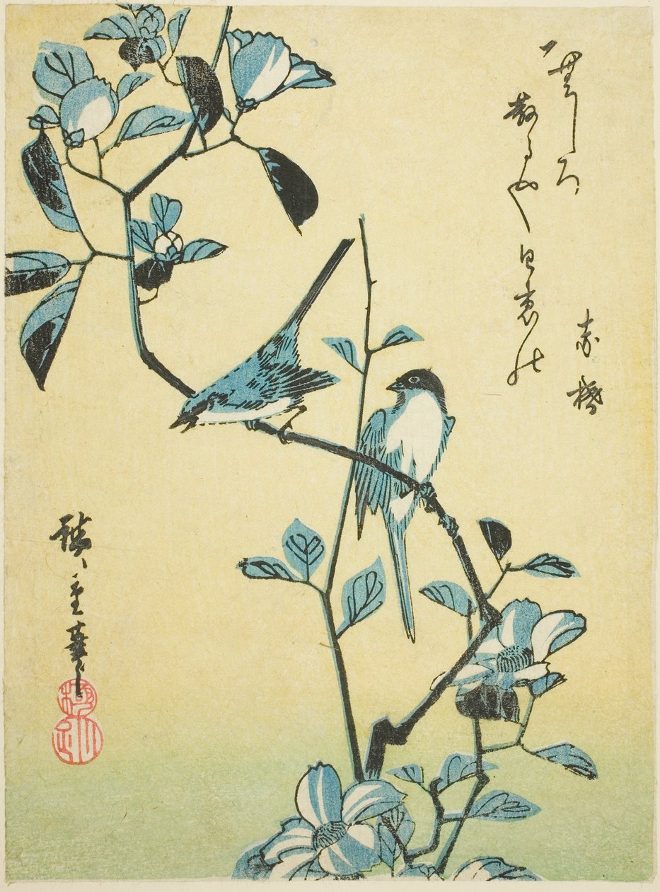 Lintuja kamelian oksalla tekijältä Utagawa Hiroshige
