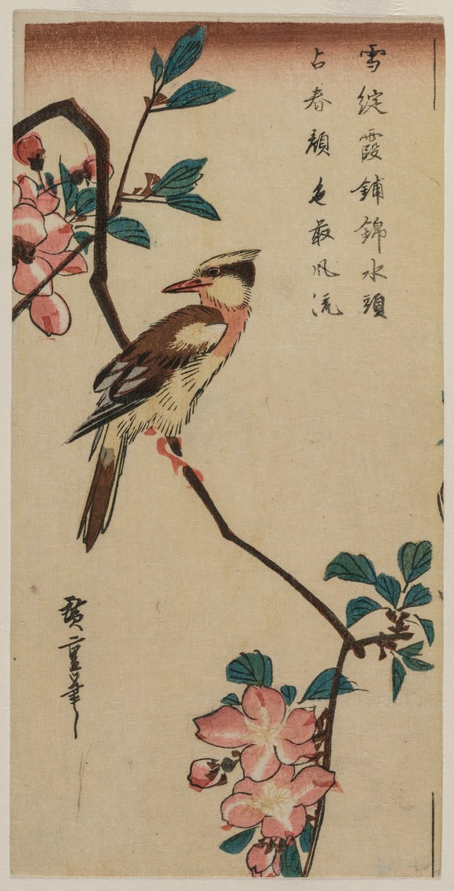 Black-Naped Oriole (Korean Warbler) Hall Crabapplessa tekijältä Utagawa Hiroshige