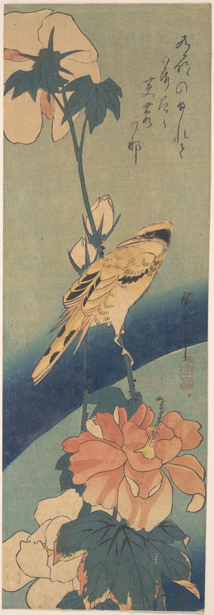Schwarzrückenpirol auf einem Hibiskusstängel tekijältä Utagawa Hiroshige