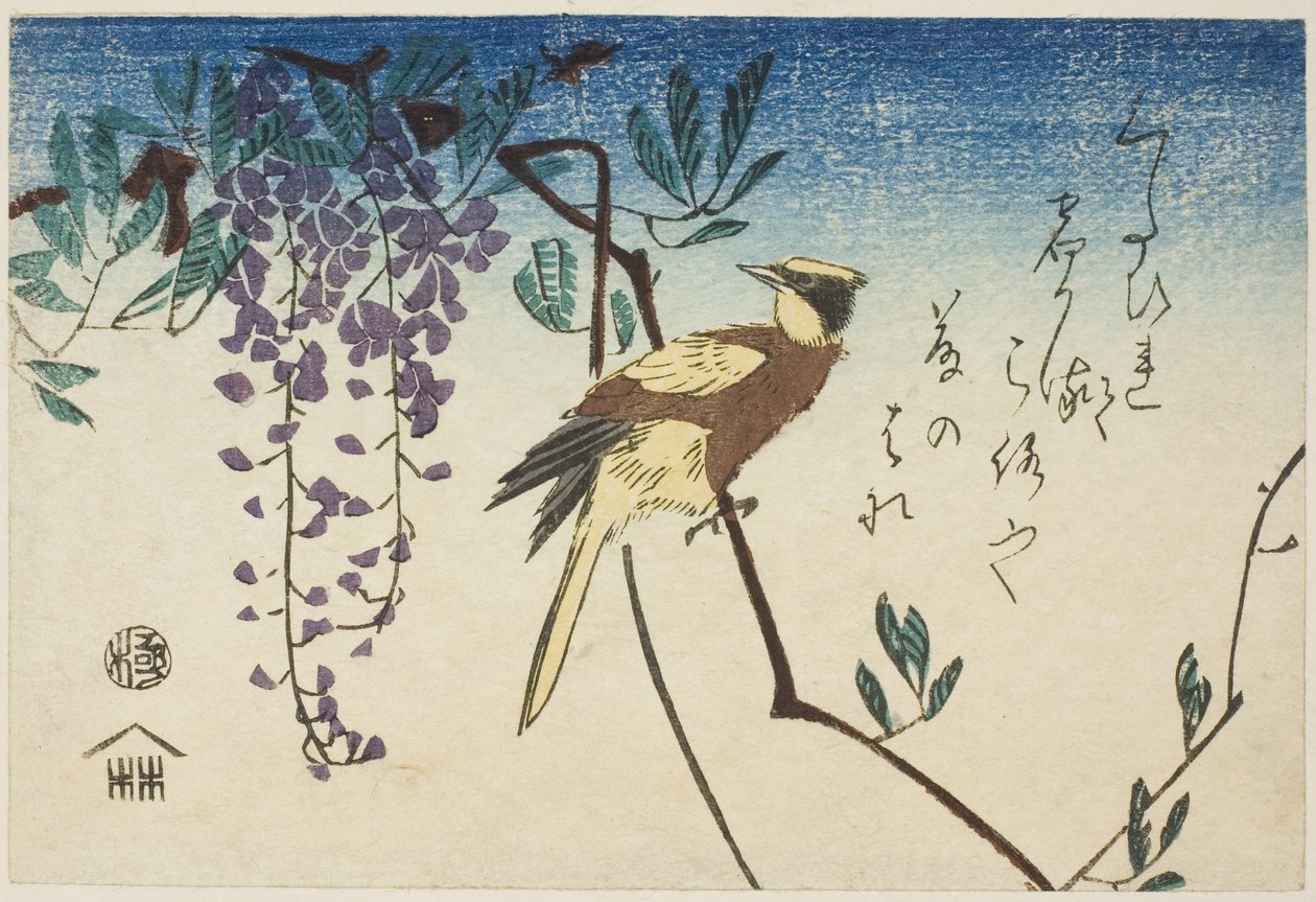 Mustanaped oriole ja wisteria tekijältä Utagawa Hiroshige