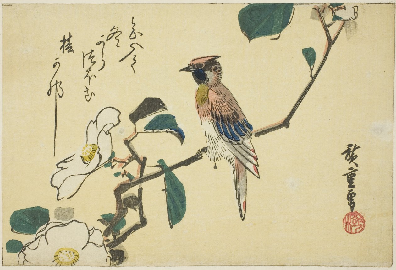 Mustanaped oriole kamelian oksalla tekijältä Utagawa Hiroshige