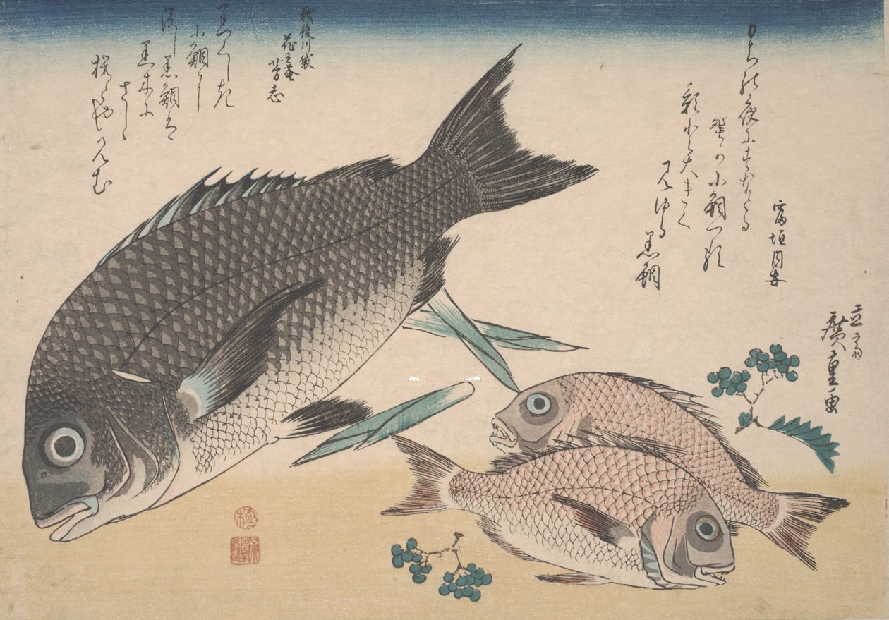 Mustakampelaa, pientä merikampelaa, parsanversoja ja sansho-pippuria, n.1830. tekijältä Utagawa Hiroshige