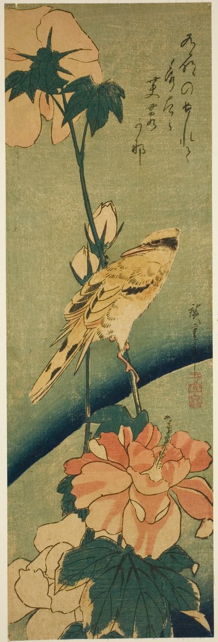 Mustanaped oriole hibiscus tekijältä Utagawa Hiroshige