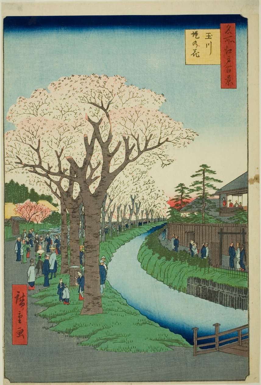 Bosso MS sound te tama joen maalausversio k side t (Tama River - Tsutsumi no Hana), sarjasta "Ridge d re d fa net view ws f Edo (One Hundred Famous Views of Edo)" tekijältä Utagawa Hiroshige