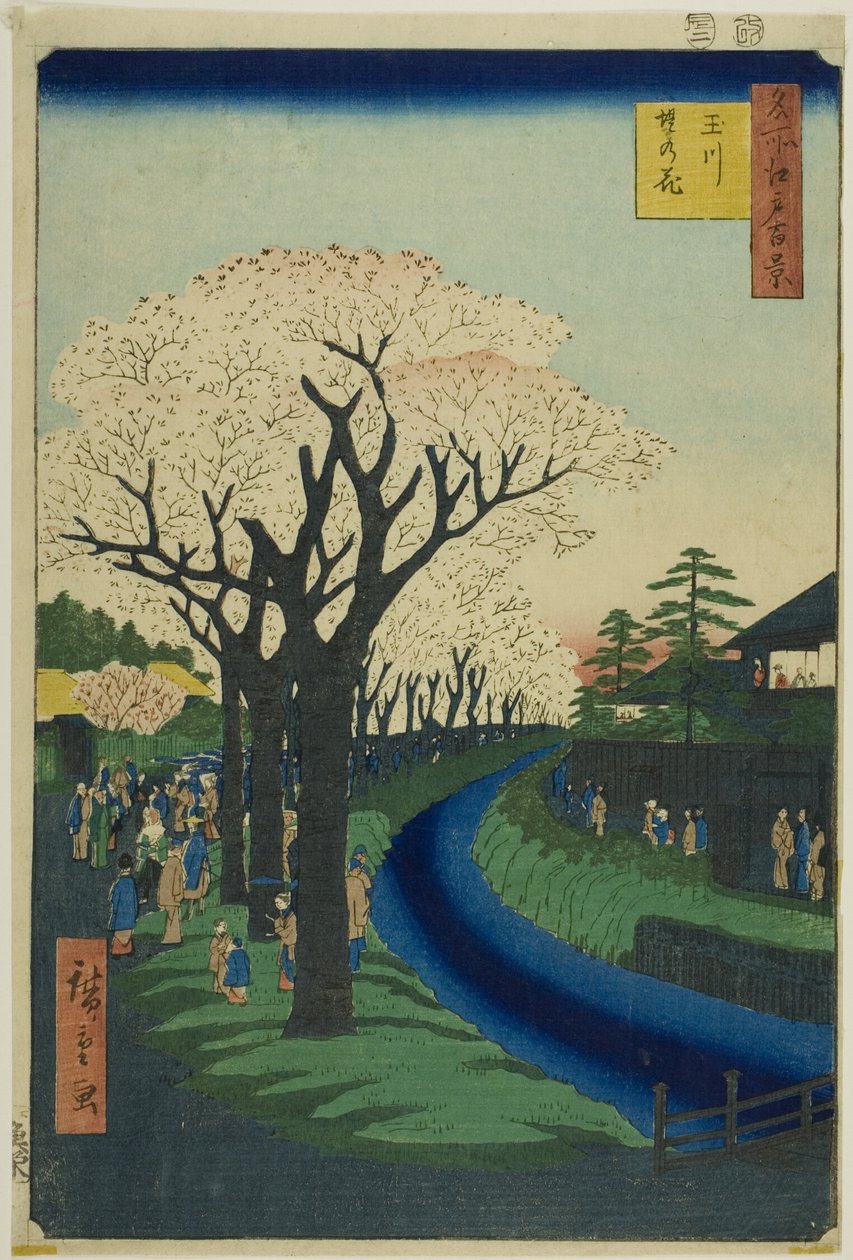 Kukkia Tama-joen rantakadulla (Tamagawa-zutsumi no hana), sarjasta "Sata kuuluisaa näkymää Edosta (Meisho Edo hyakkei)". tekijältä Utagawa Hiroshige