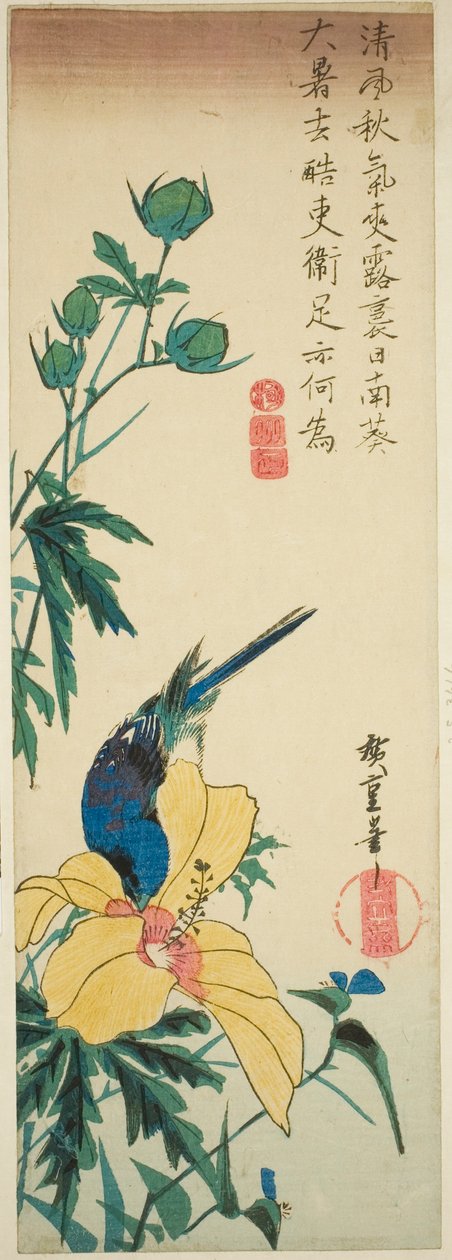 Sininen lintu ja hibiscus tekijältä Utagawa Hiroshige
