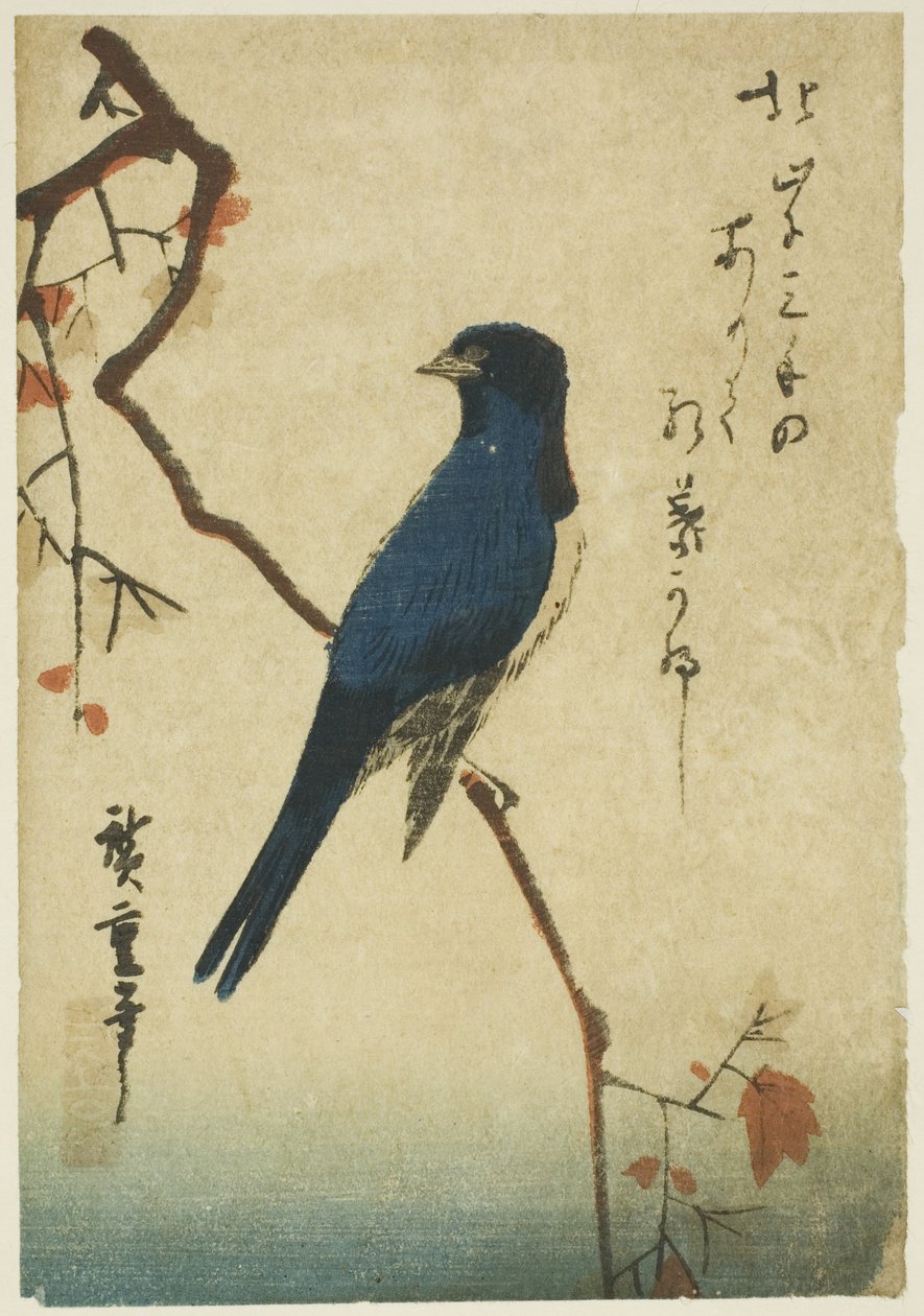 Sininen lintu vaahteran oksalla tekijältä Utagawa Hiroshige