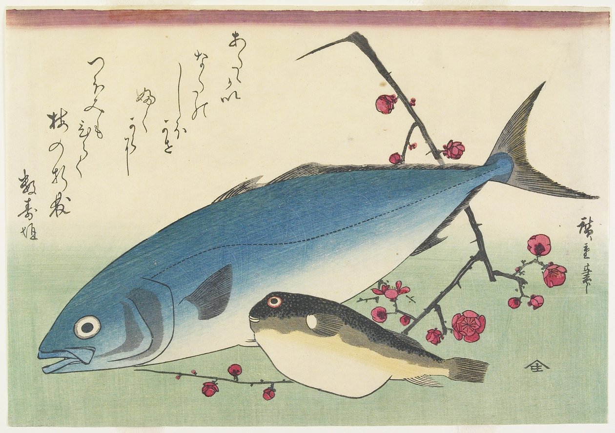 Bonito, Globefish ja Spray of Blossoming Plum, c. 1840 tekijältä Utagawa Hiroshige