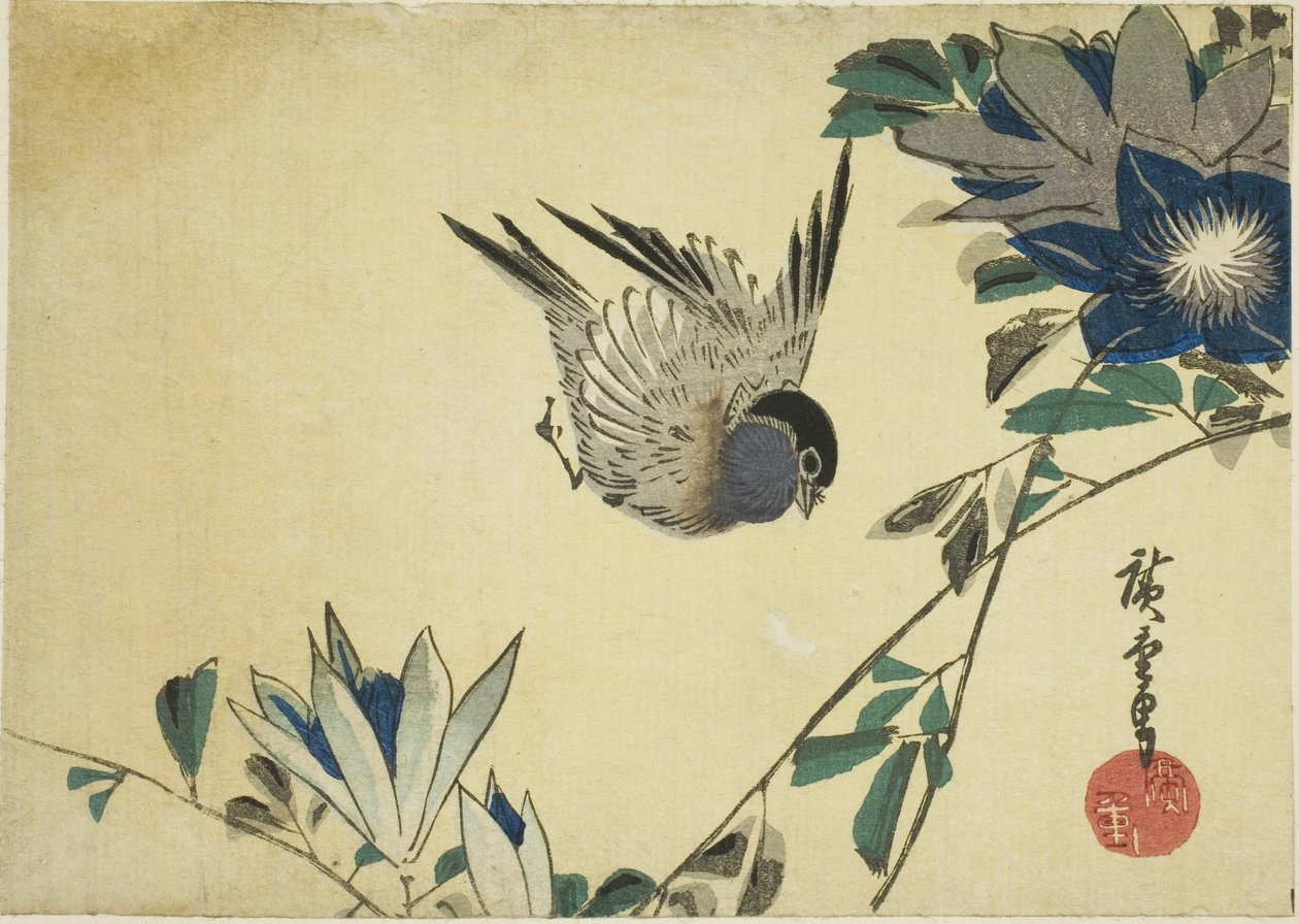 Bullfinch ja klematis tekijältä Utagawa Hiroshige