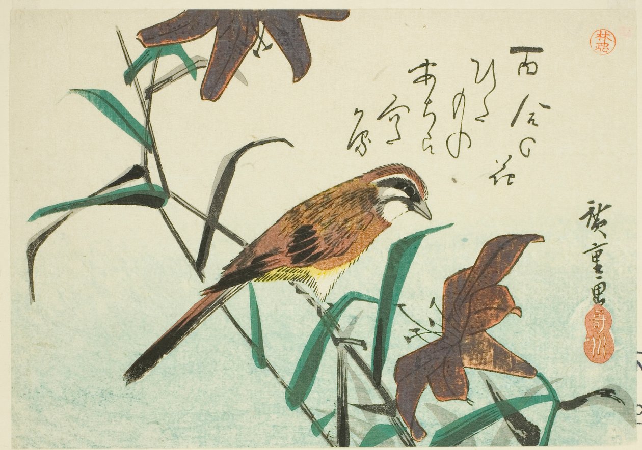 Sirkka ja liljat tekijältä Utagawa Hiroshige