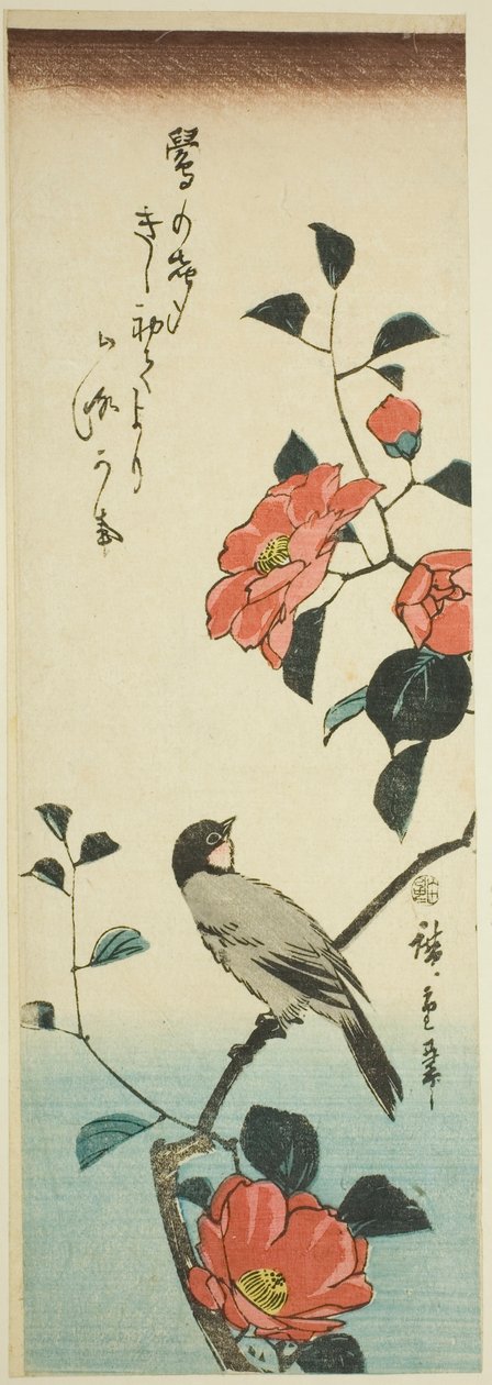 Kamelian kukkia ja härkävarsi tekijältä Utagawa Hiroshige