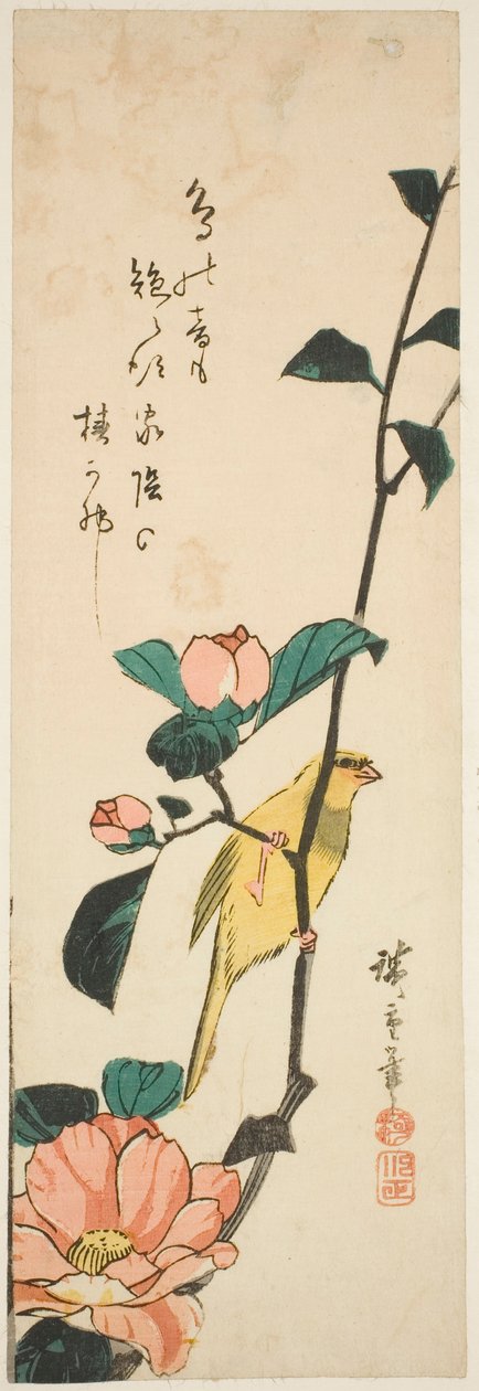 Kanaria ja kameliat tekijältä Utagawa Hiroshige